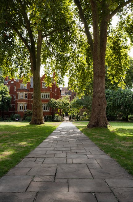 A straight stone pathway leading through a green park area with tall, leafy trees on either side, casting dappled sunlight onto the grass and walkway. In the background, there is a red brick residenti