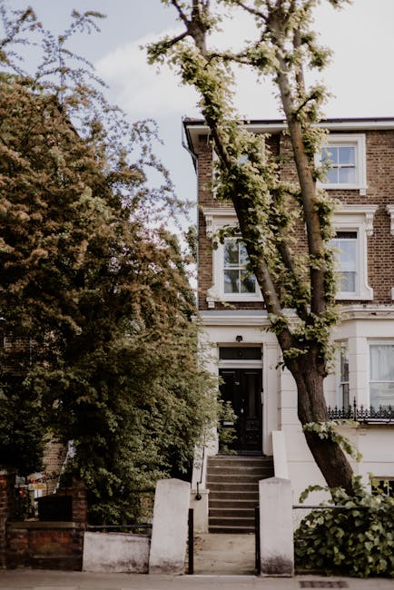 A multi-storey Victorian-style house with a brick facade and white window frames, situated behind a small front garden enclosed by a low brick wall and white concrete posts. The entrance features a black door accessed via a short flight of concrete steps with metal handrails. Tall trees with leafy branches partially obscure the view of the house and cast shade over the front area. Outside, near the pavement, there are large cardboard boxes and packing materials, indicating a home relocation or packing process. The scene is lit with natural daylight, and the environment suggests an urban residential street. This image is associated with house removals and furniture transport services offered by Man and Van Belsize Park, as seen on the webpage for Belsize Park removals on Haverstock Hill.